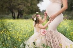 Orange_County_Maternity_Photographer-2-c71