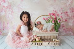 Orange-County-Newborn-Photographer-11