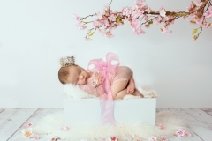 Orange-County-Newborn-Photographer-30