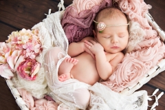 Orange_County_Newborn_Photographer-16