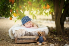 Orange_County_Newborn_Photographer-72